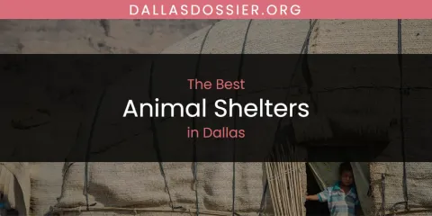 The Absolute Best Animal Shelters in Dallas