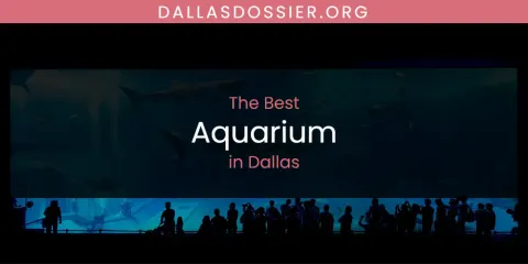 The Absolute Best Aquarium in Dallas