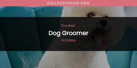 The Absolute Best Dog Groomer in Dallas