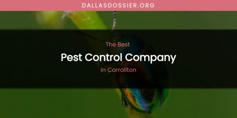 The Absolute Best Pest Control Company in Carrollton