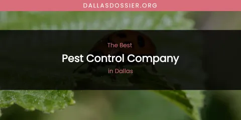 The Absolute Best Pest Control Company in Dallas