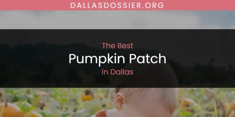 The Absolute Best Pumpkin Patch in Dallas