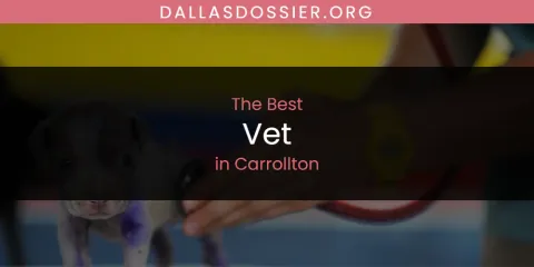 The Absolute Best Vet in Carrollton