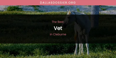 The Absolute Best Vet in Cleburne