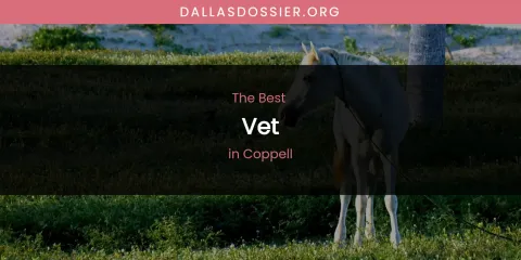 The Absolute Best Vet in Coppell