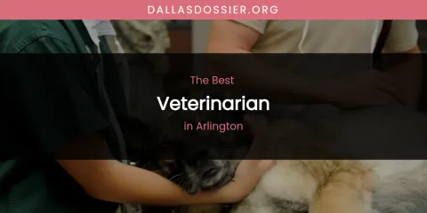 The Absolute Best Veterinarian in Arlington