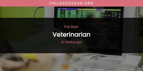 Watauga's Best Veterinarian