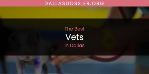 The Absolute Best Vets in Dallas